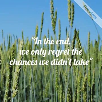 Quote Video Template