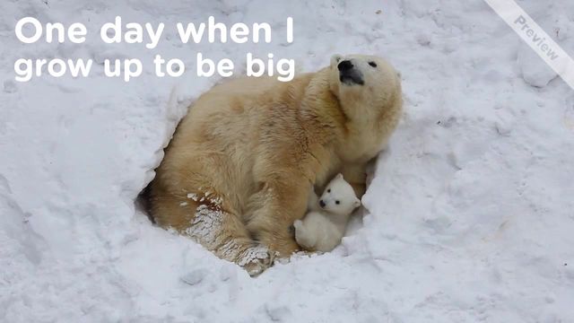 When I grow Video Template