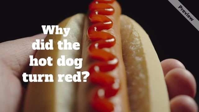 Hot Dog Day Video Template