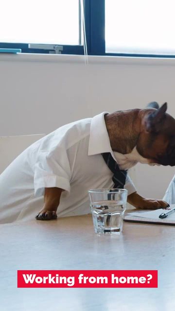 Working from home Video Template