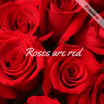 Bad poetry Video Template