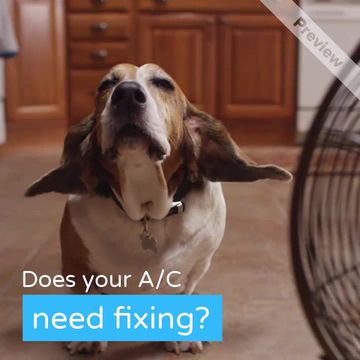 We're All Ears Video Template