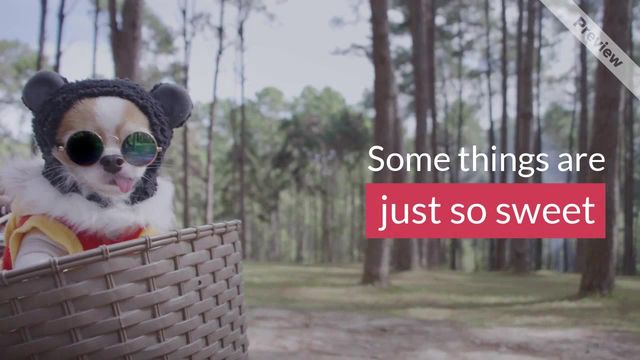 Sweet cake thing Video Template