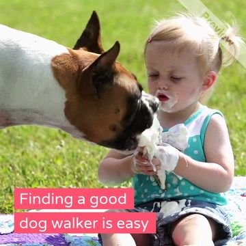 Find a Dog Walker Video Template