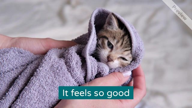 Feels Good Video Template