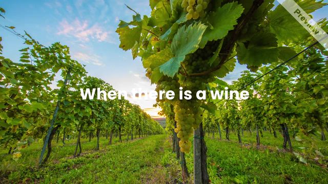 There is a Wine Video Template