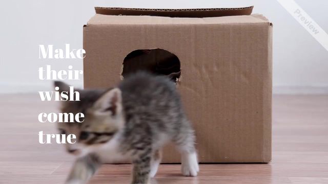 Adopt a Stray Video Template