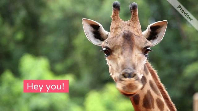 Hey You! Video Template