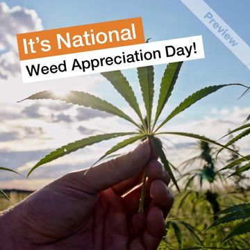 Weed Appreciation Video Template