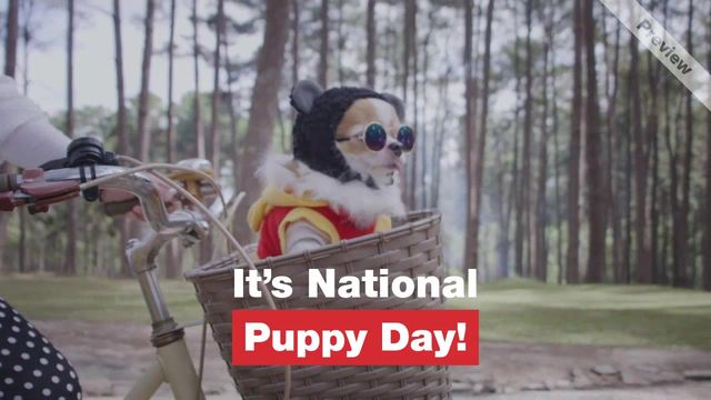 Puppy Day Video Template