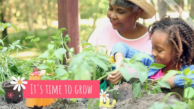 Time to Grow Video Template