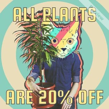 Plant Sale Video Template