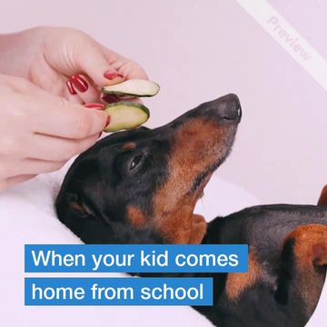 #NoHomework Video Template