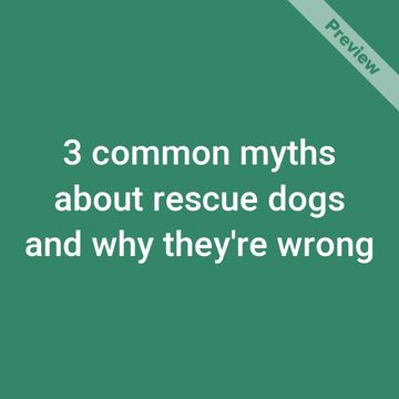 Rescue Dog Day Video Template