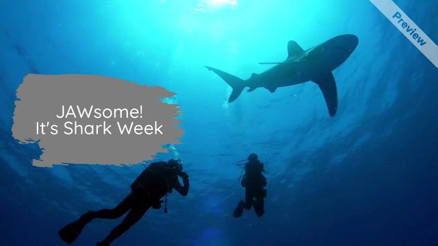 SharkWeek Video Template