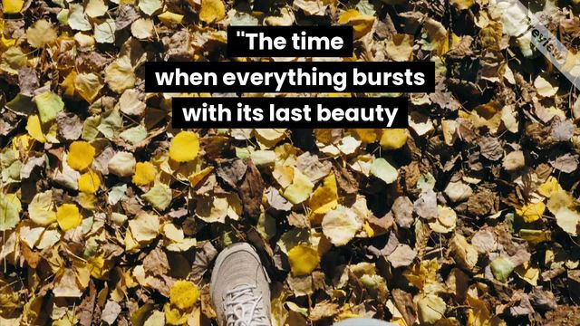 Fall collection Video Template