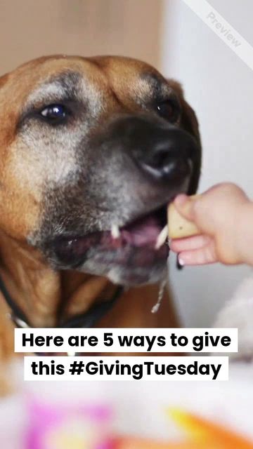 #GivingTuesday Video Template