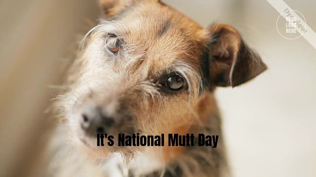 National Mutt Day Video Template