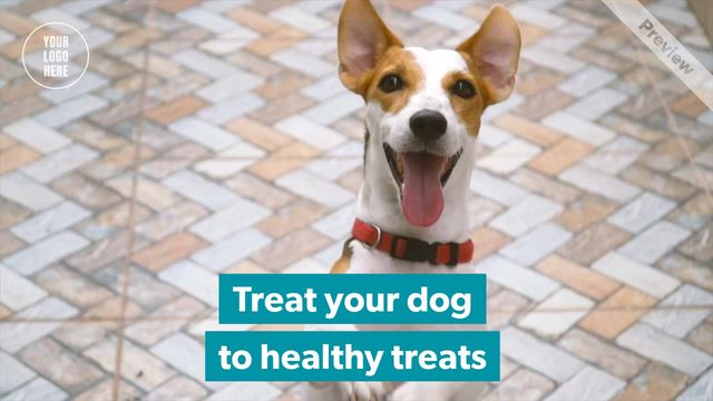 Healthy dog treats Video Template