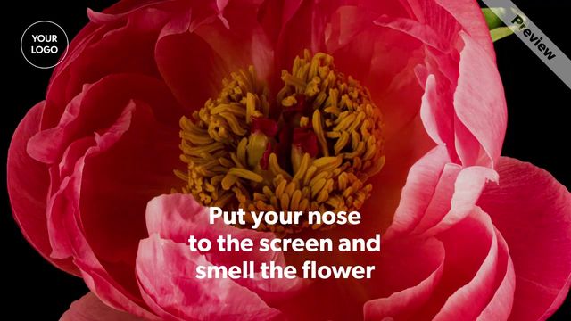 April Fool's Flower Prank Video Template