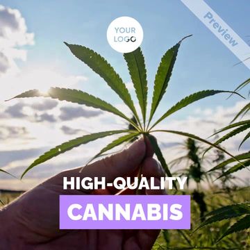 Cannabis Shop Video Template
