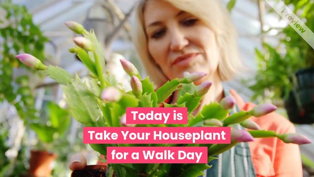 Walk Your Houseplant Day | Jul 27 Video Template