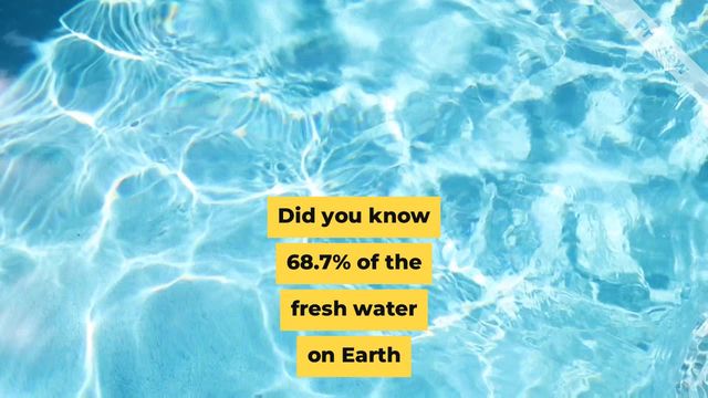 Trivia Tuesday - Water | Aug 23 Video Template