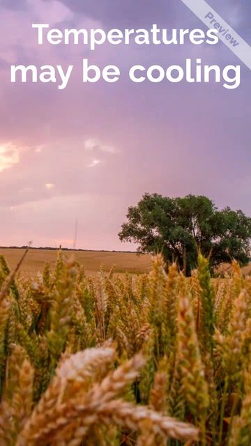 Cool Fall Sales Video Template