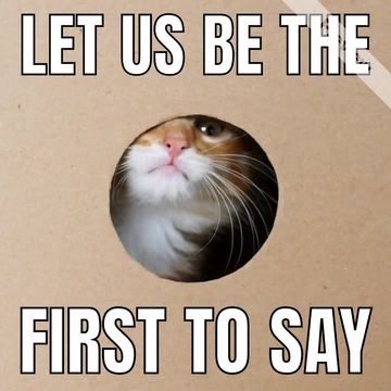 Happy Caturday  Video Template