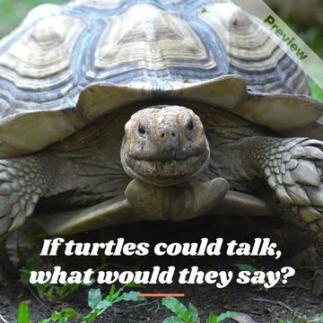 Turtle Day | May 23 Video Template