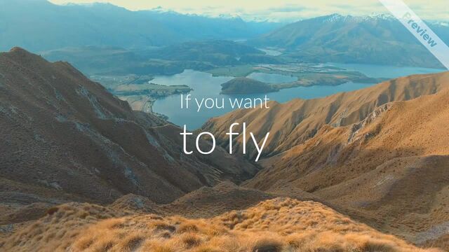 Transformation Tuesday | Fly Video Template