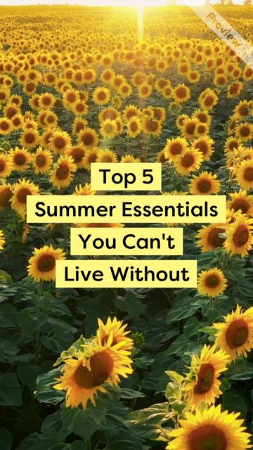 5 Summer Essentials Video Template