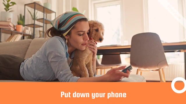 Read a Book Day | Sept 6 Video Template