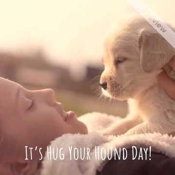 Hug Your Hound Day Video Template