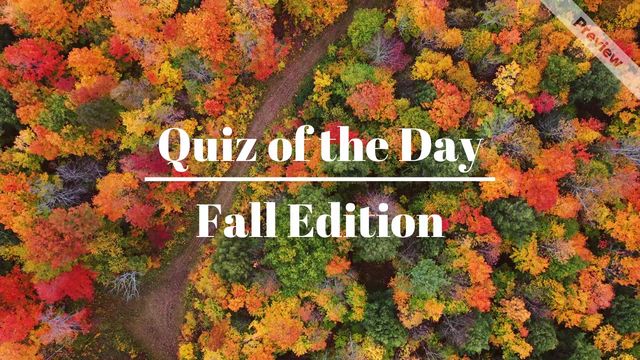 Quiz of the Day | Fall Edition Video Template