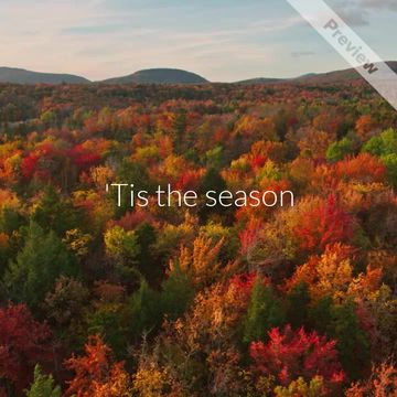 At Peace | Wellness Wednesday Video Template