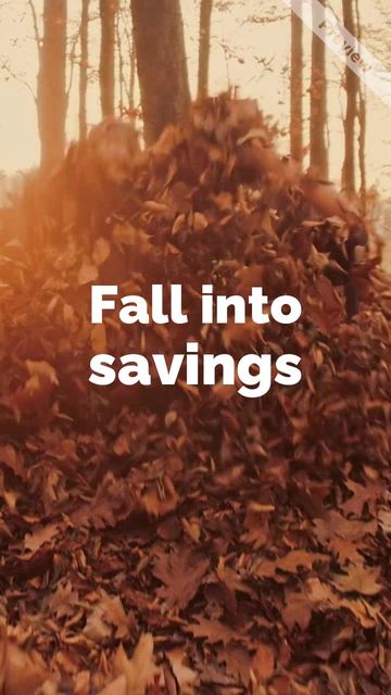 Fall Into Savings  Video Template