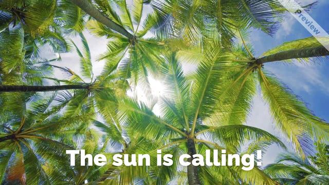 Endless Summer in Winter | Travel Agency Video Template