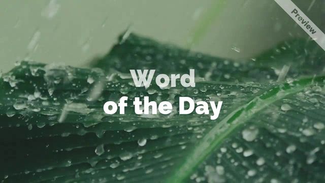 Pluviophile | Word of the Day Video Template