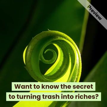 Composting Day | May 29 Video Template