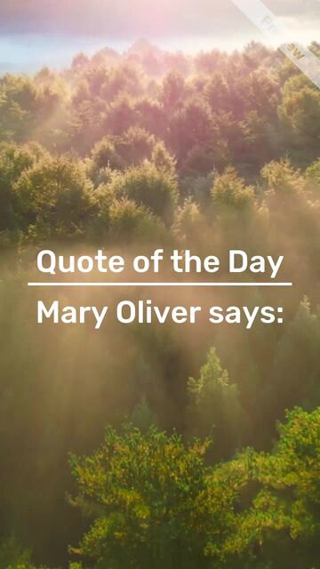 Mary Oliver | Quote of the Day Video Template