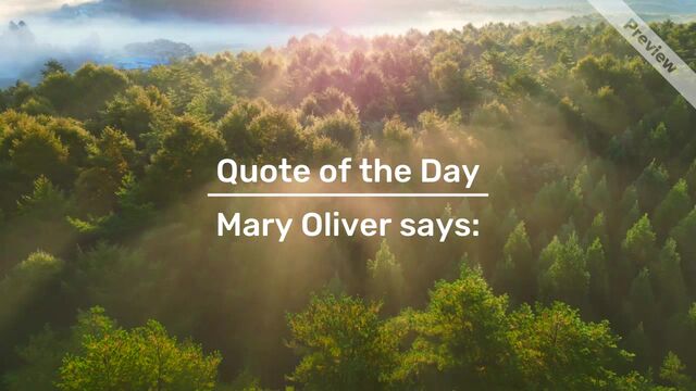 Mary Oliver | Quote of the Day #3 Video Template