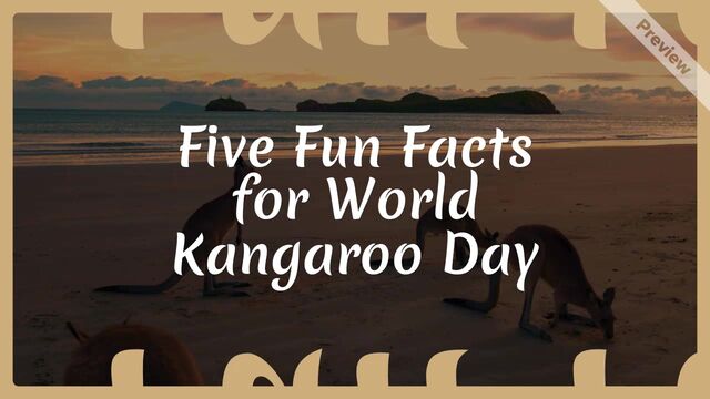 Kangaroo Day #3 Video Template