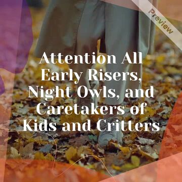 Daylight Saving Time Ends