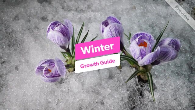 Winter Growth Guide #3 Video Template