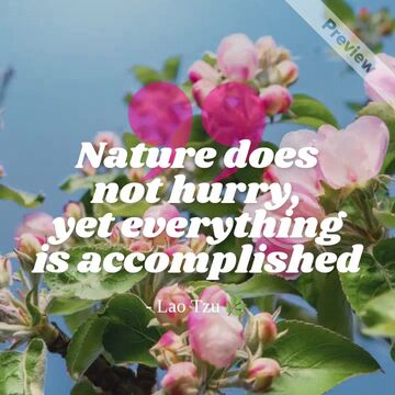 Quote of the Day: Growth & Patience