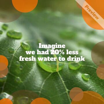 World Rainforest Day Video Template