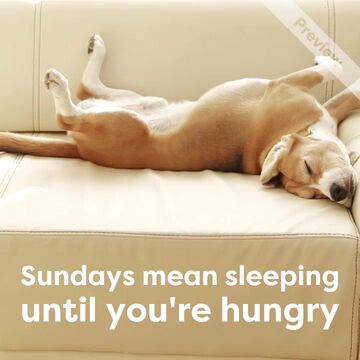 Sunday Funday